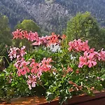 Haus Am Kurgarten - Seeberg Appartamento Bayrischzell