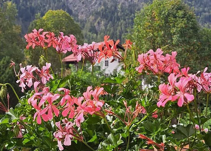 Haus Am Kurgarten - Seeberg Apartment Bayrischzell