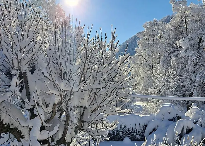 Haus Am Kurgarten - Seeberg